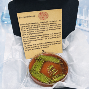 Custom Petri Soaps