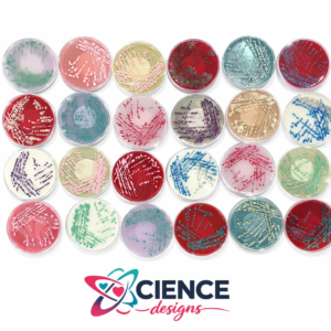 Petri Soaps