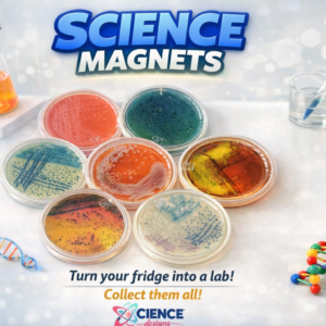 Magnets