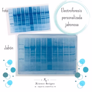Electroforesis Soap